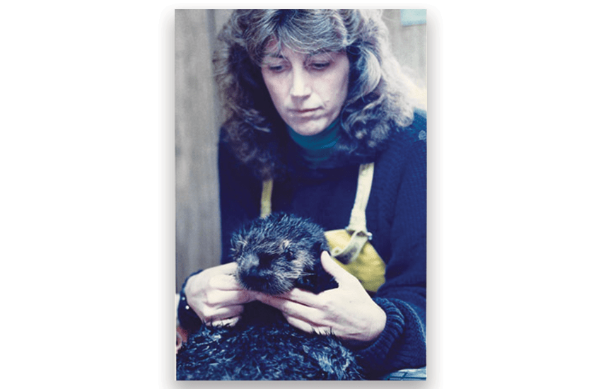 Terrie Williams cleaning oiled otter