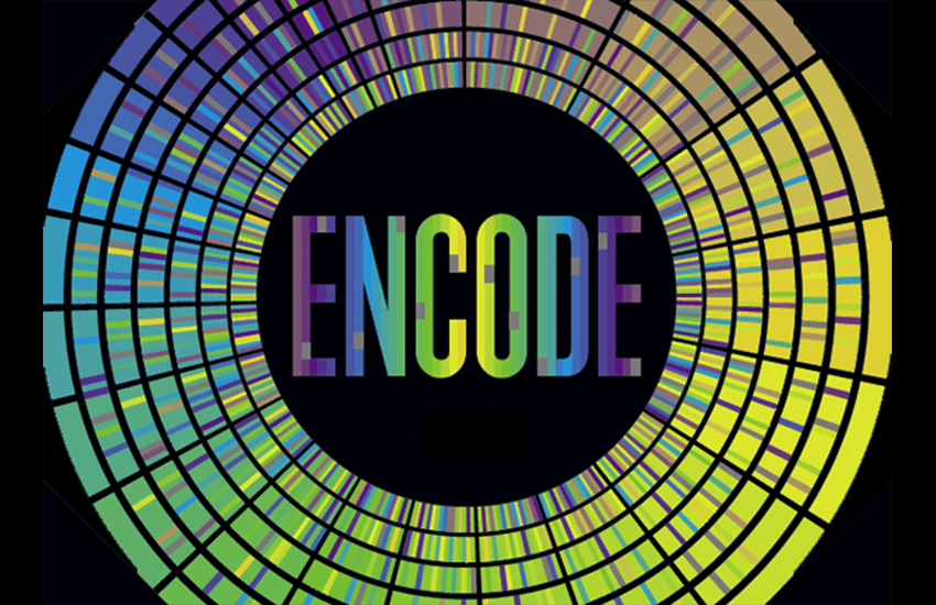 Online tutorial guides users through the ENCODE data portal on the UCSC Genome Browser