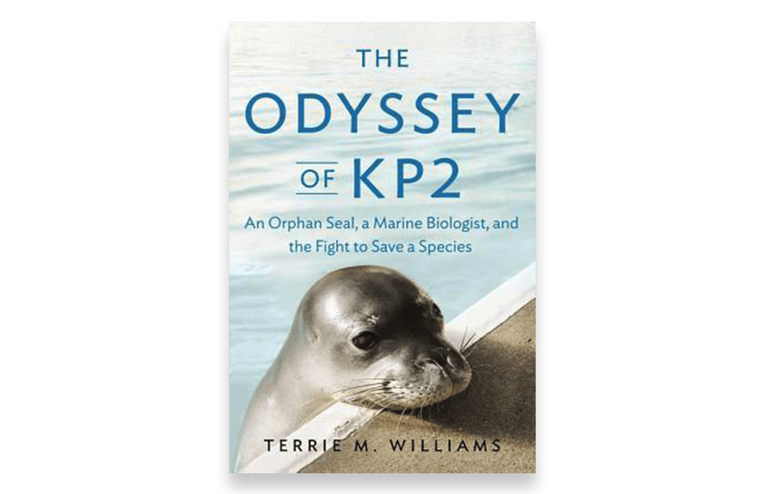 New book by UCSC biologist highlights efforts to save Hawaiian monk seals