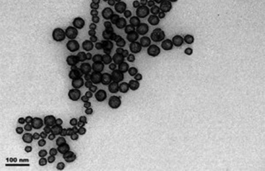 Hollow gold nanospheres ( nanoparticles )