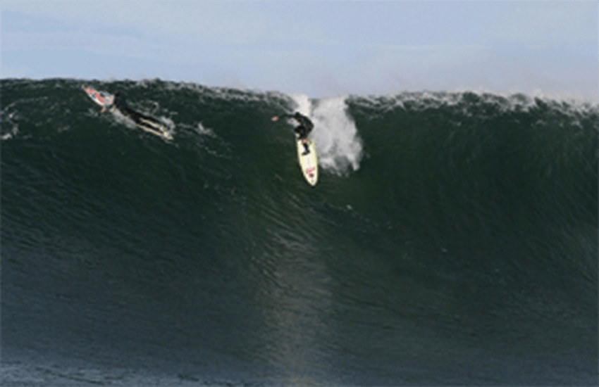 Dogs, cats, and big-wave surfers: Healthy heart lessons from animals and athletes