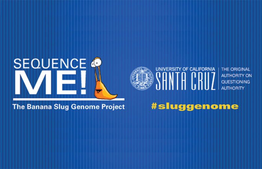 The Banana Slug Genome Project