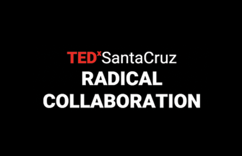 TEDxSantaCruz 2015: Radical Collaboration