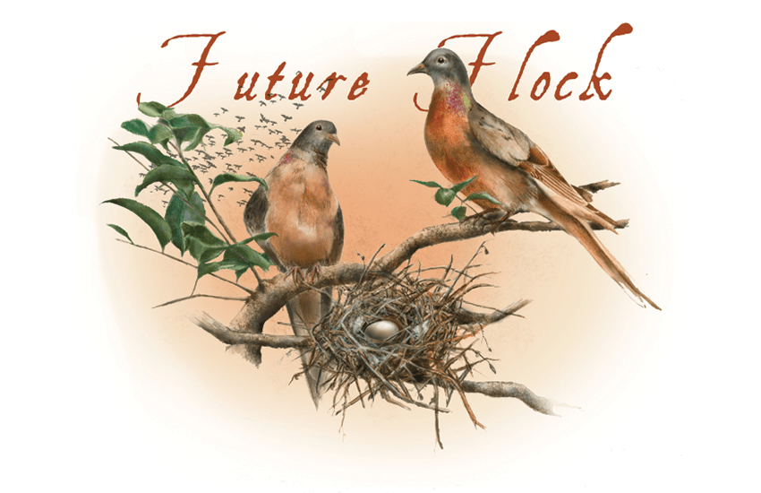 Future Flock