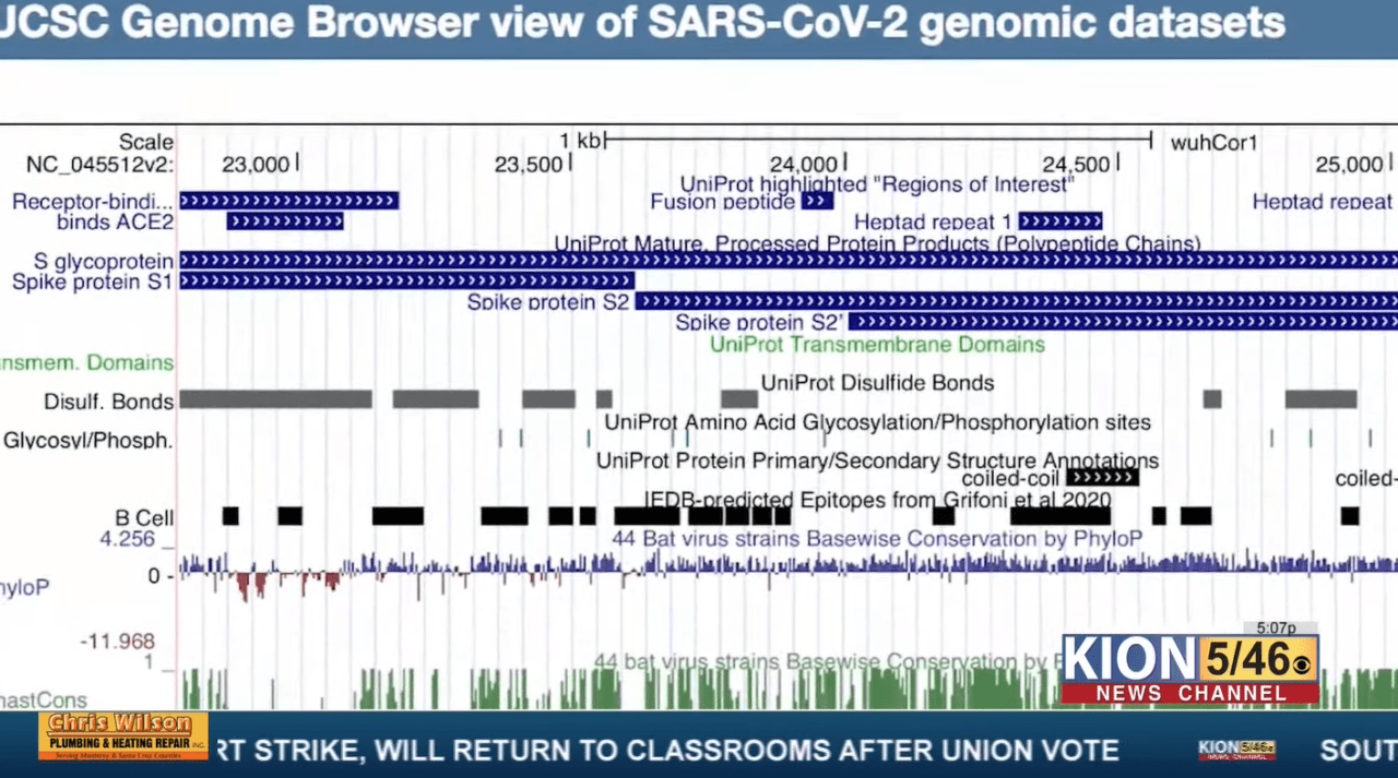 Tracking the mutating COVID-19 virus: UC Santa Cruz Genomics Institute speaks with KION