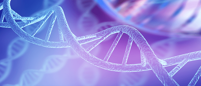 Nearly Complete Human Genome Sequenced