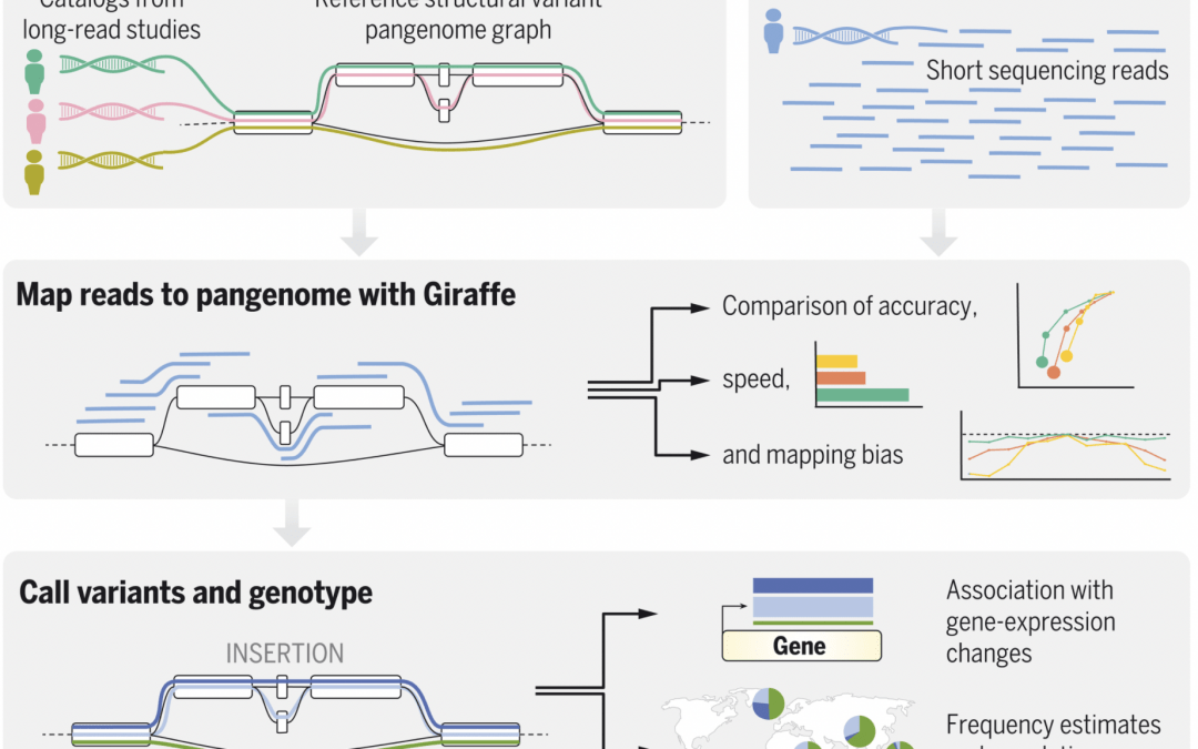 Pangenomics enables genotyping of known structural variants in 5202 diverse genomes